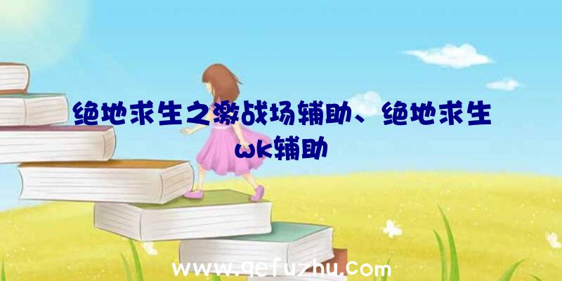 绝地求生之激战场辅助、绝地求生wk辅助