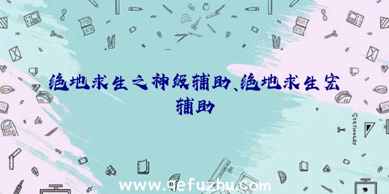 绝地求生之神级辅助、绝地求生宏辅助