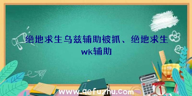 绝地求生乌兹辅助被抓、绝地求生wk辅助