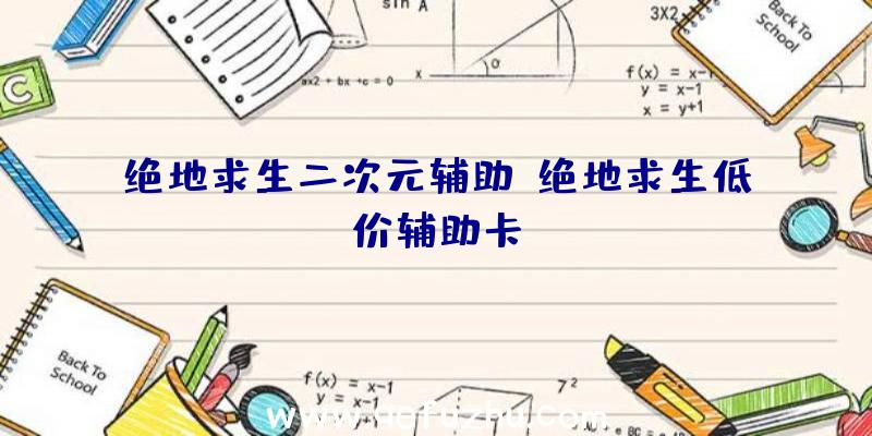 绝地求生二次元辅助、绝地求生低价辅助卡