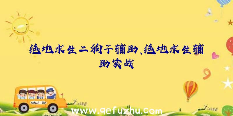 绝地求生二狗子辅助、绝地求生辅助实战