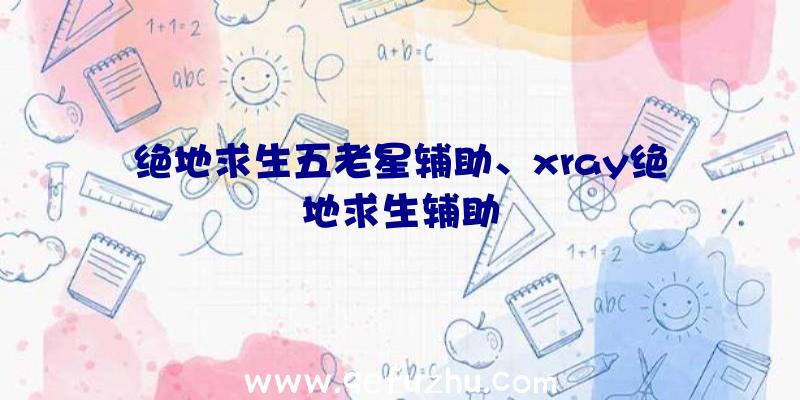 绝地求生五老星辅助、xray绝地求生辅助