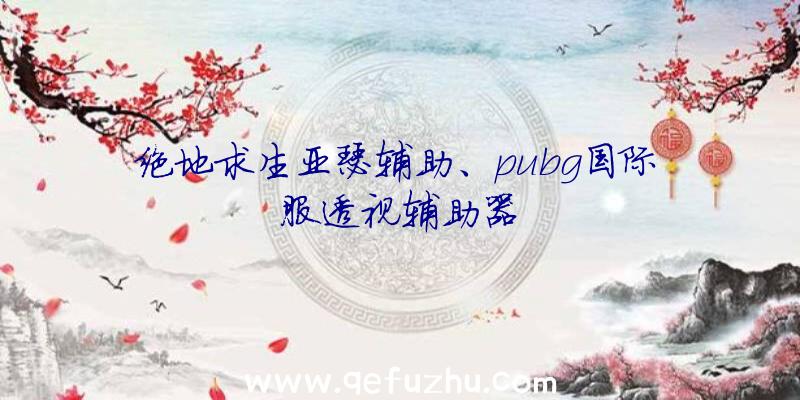 绝地求生亚瑟辅助、pubg国际服透视辅助器