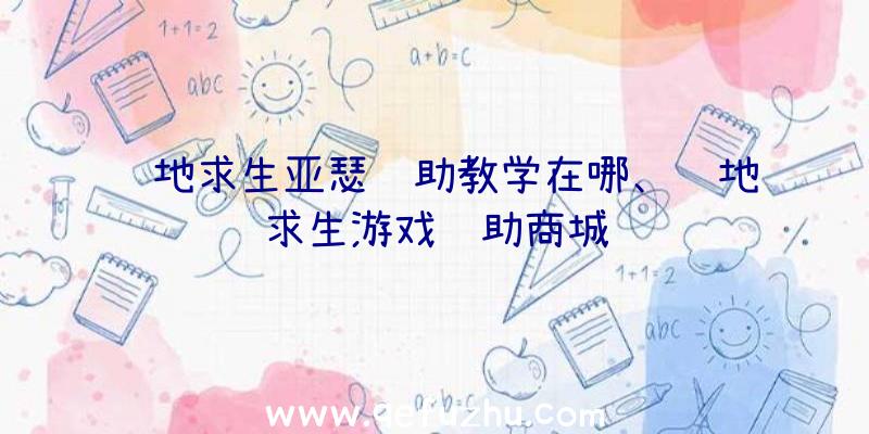 绝地求生亚瑟辅助教学在哪、绝地求生游戏辅助商城