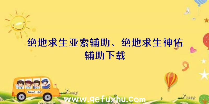 绝地求生亚索辅助、绝地求生神佑辅助下载