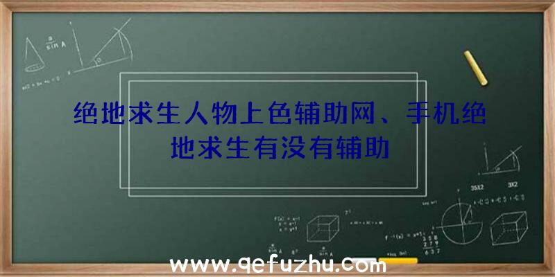 绝地求生人物上色辅助网、手机绝地求生有没有辅助