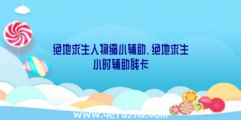 绝地求生人物缩小辅助、绝地求生小时辅助残卡