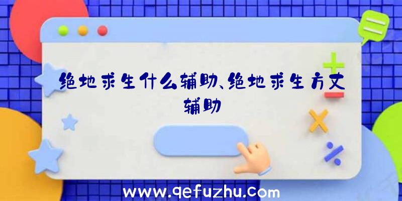 绝地求生什么辅助、绝地求生方丈辅助