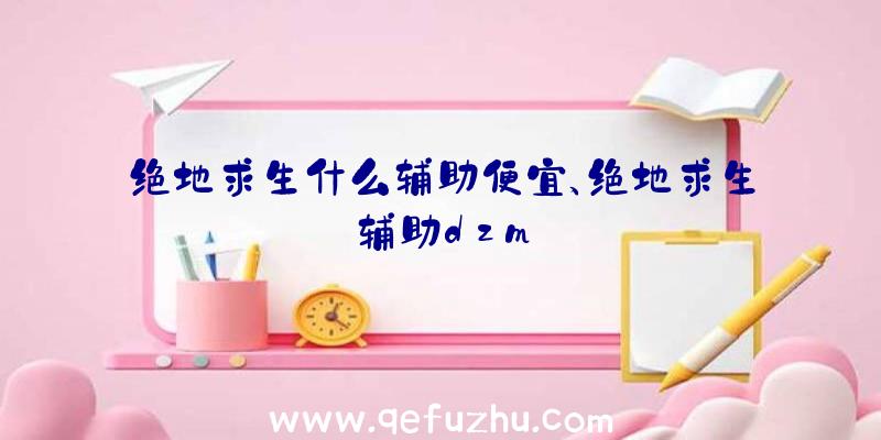 绝地求生什么辅助便宜、绝地求生辅助dzm