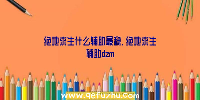 绝地求生什么辅助最稳、绝地求生辅助dzm