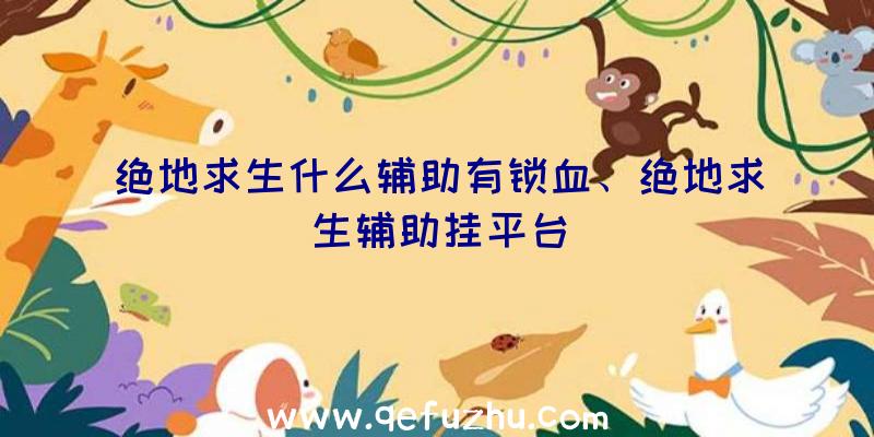 绝地求生什么辅助有锁血、绝地求生辅助挂平台