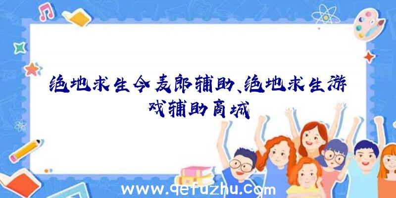 绝地求生今麦郎辅助、绝地求生游戏辅助商城