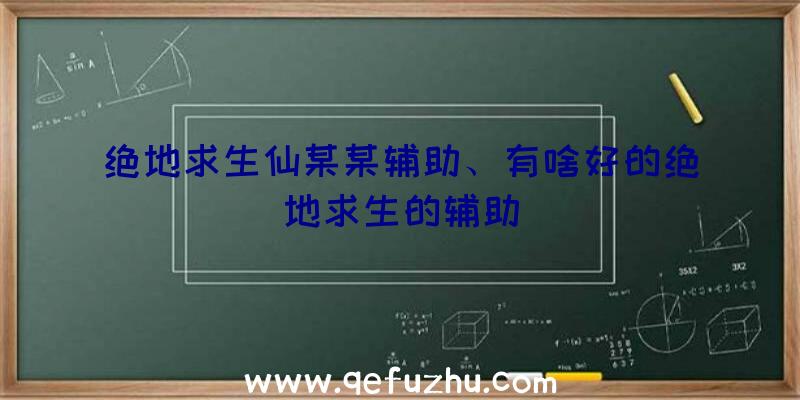 绝地求生仙某某辅助、有啥好的绝地求生的辅助