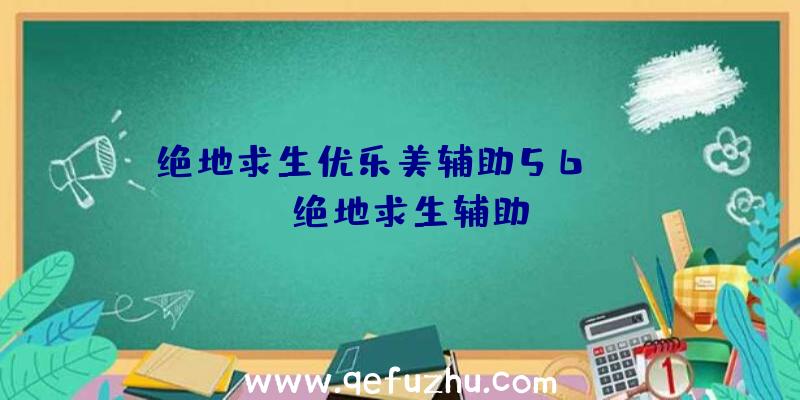 绝地求生优乐美辅助56、xray绝地求生辅助