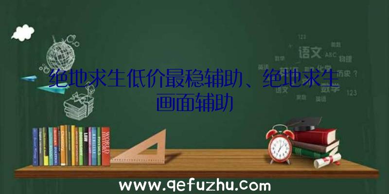 绝地求生低价最稳辅助、绝地求生画面辅助