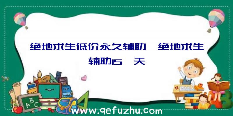 绝地求生低价永久辅助、绝地求生辅助15一天