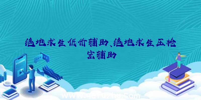 绝地求生低价辅助、绝地求生压枪宏辅助