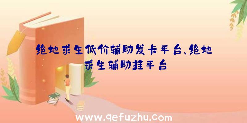 绝地求生低价辅助发卡平台、绝地求生辅助挂平台