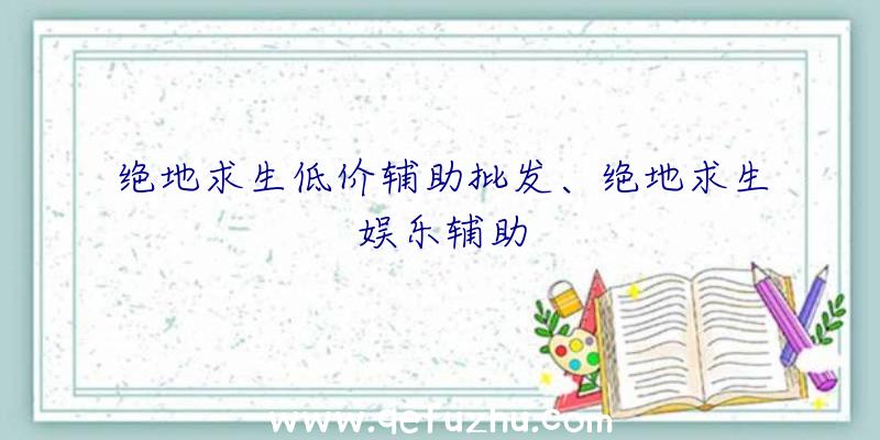 绝地求生低价辅助批发、绝地求生娱乐辅助