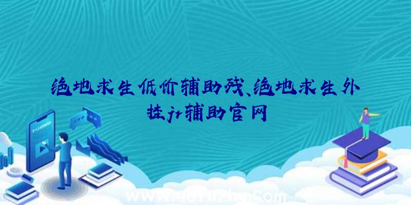 绝地求生低价辅助残、绝地求生外挂jr辅助官网