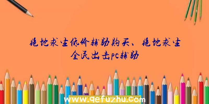 绝地求生低价辅助购买、绝地求生全民出击pc辅助