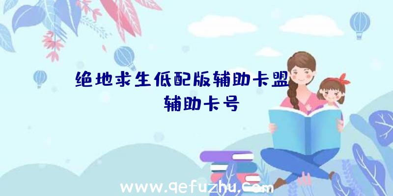 绝地求生低配版辅助卡盟、pubg辅助卡号