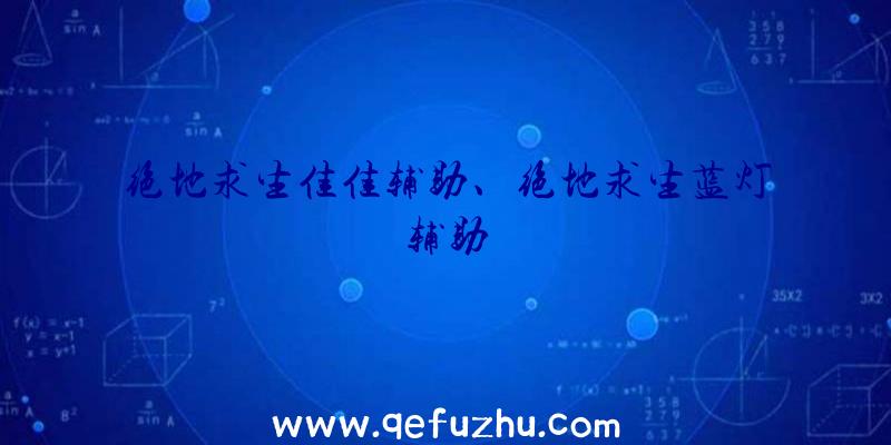 绝地求生佳佳辅助、绝地求生蓝灯辅助