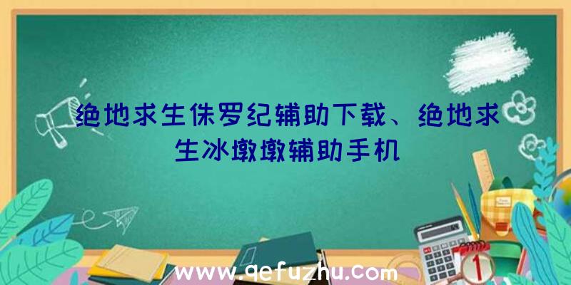 绝地求生侏罗纪辅助下载、绝地求生冰墩墩辅助手机