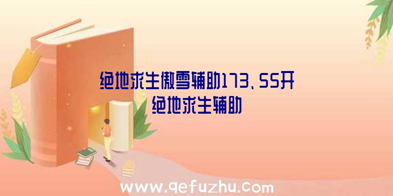 绝地求生傲雪辅助173、55开绝地求生辅助