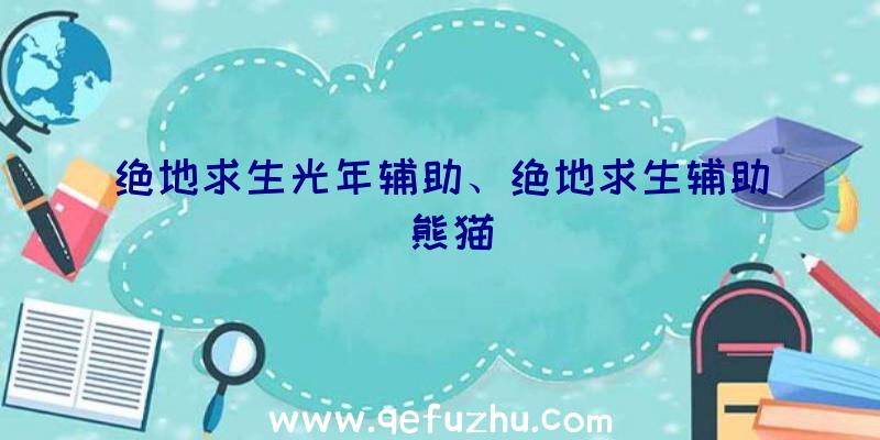 绝地求生光年辅助、绝地求生辅助