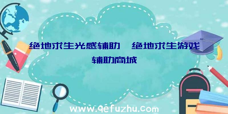 绝地求生光感辅助、绝地求生游戏辅助商城