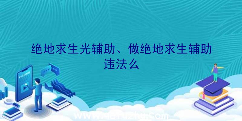 绝地求生光辅助、做绝地求生辅助违法么