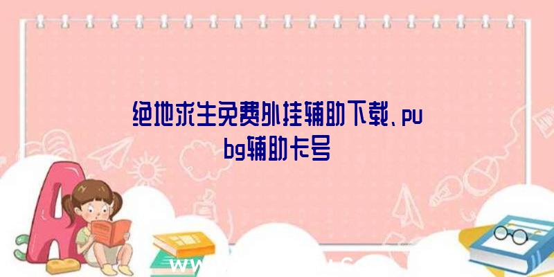 绝地求生免费外挂辅助下载、pubg辅助卡号