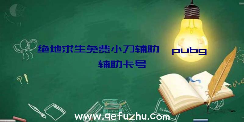 绝地求生免费小刀辅助、pubg辅助卡号