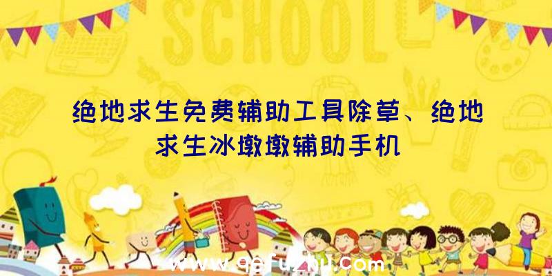 绝地求生免费辅助工具除草、绝地求生冰墩墩辅助手机