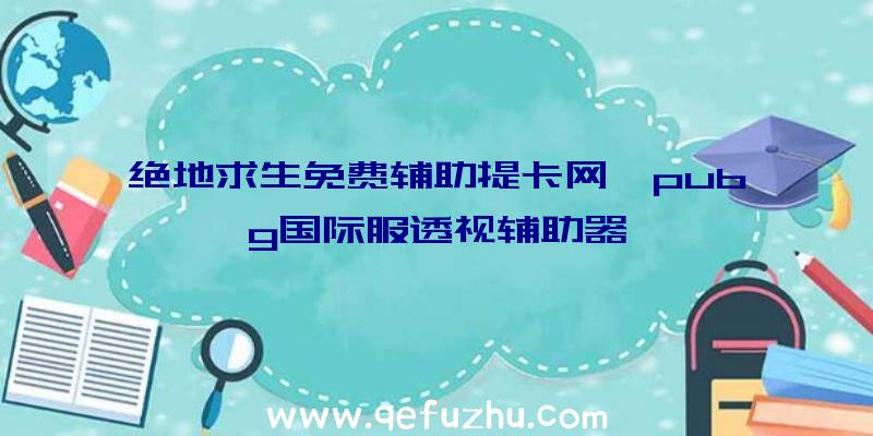 绝地求生免费辅助提卡网、pubg国际服透视辅助器