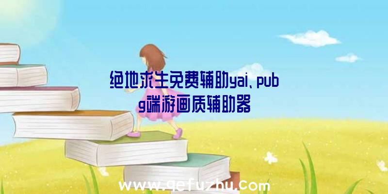 绝地求生免费辅助yai、pubg端游画质辅助器