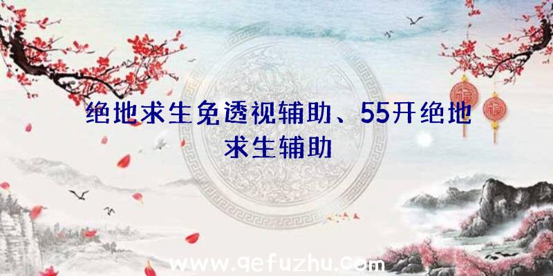 绝地求生免透视辅助、55开绝地求生辅助