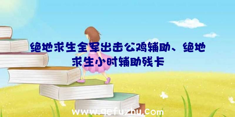 绝地求生全军出击公鸡辅助、绝地求生小时辅助残卡