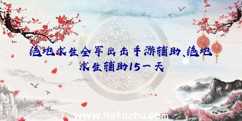 绝地求生全军出击手游辅助、绝地求生辅助15一天