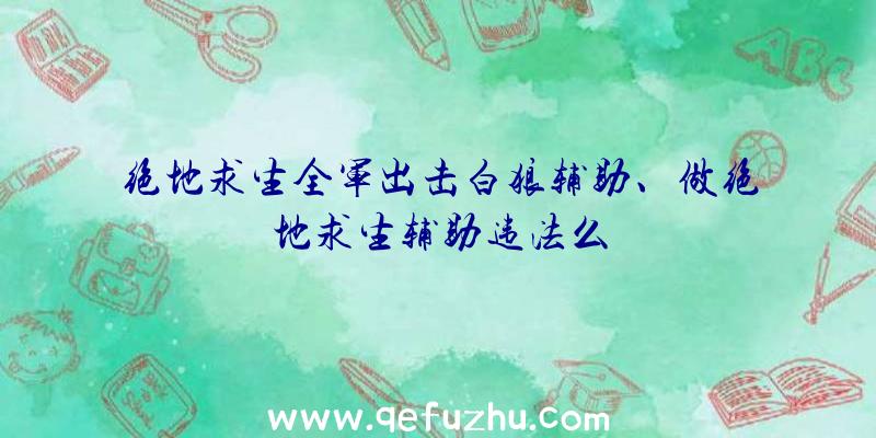 绝地求生全军出击白狼辅助、做绝地求生辅助违法么