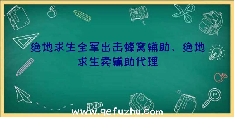 绝地求生全军出击蜂窝辅助、绝地求生卖辅助代理