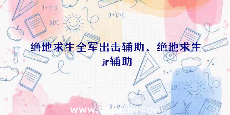 绝地求生全军出击辅助、绝地求生