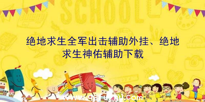 绝地求生全军出击辅助外挂、绝地求生神佑辅助下载