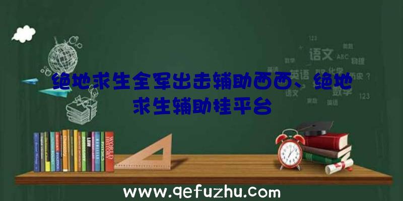 绝地求生全军出击辅助西西、绝地求生辅助挂平台