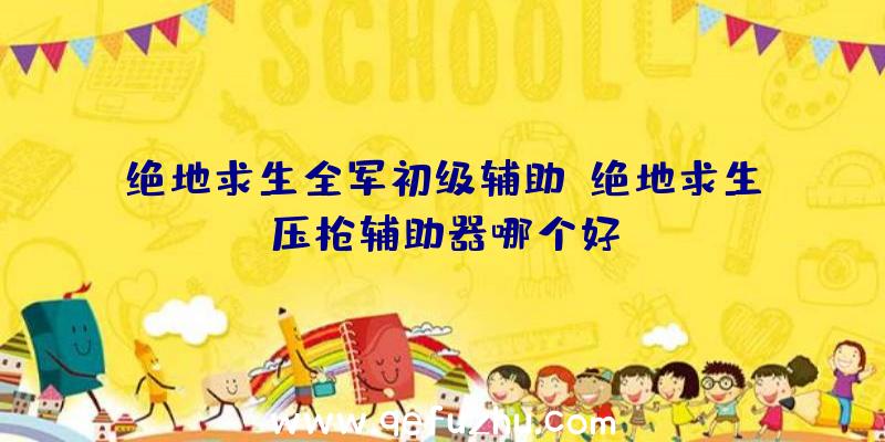 绝地求生全军初级辅助、绝地求生压枪辅助器哪个好