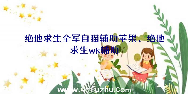 绝地求生全军自瞄辅助苹果、绝地求生wk辅助