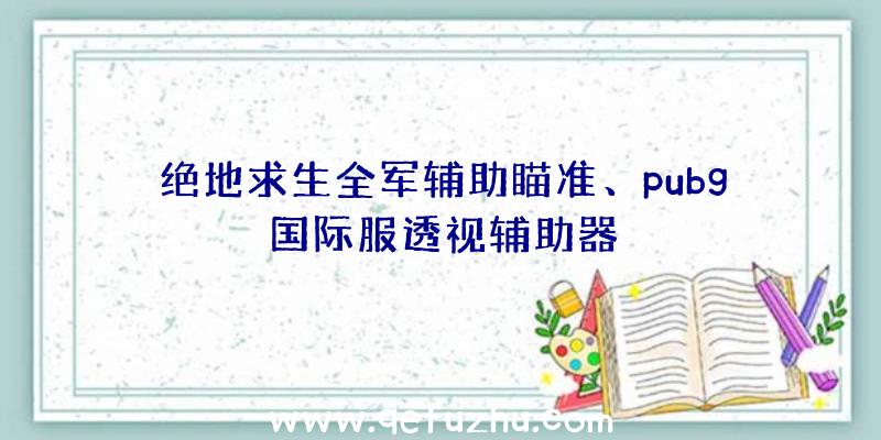 绝地求生全军辅助瞄准、pubg国际服透视辅助器