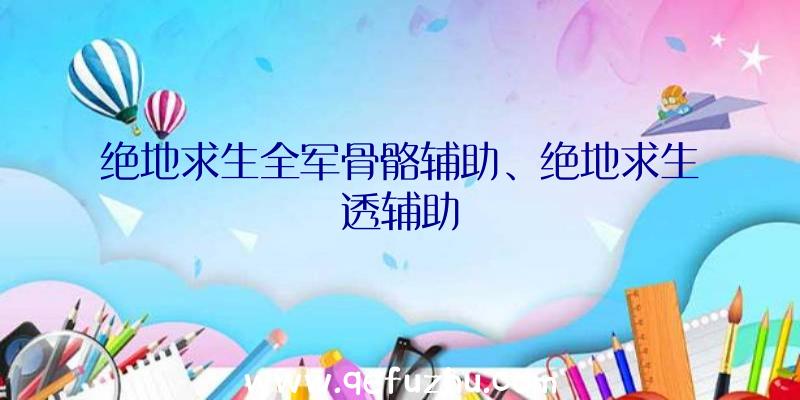 绝地求生全军骨骼辅助、绝地求生透辅助