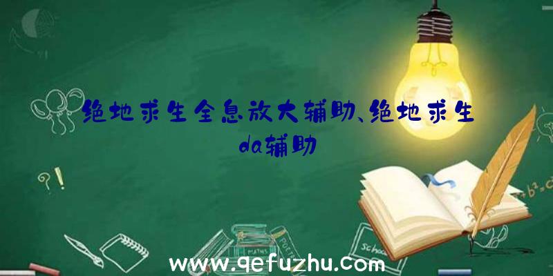 绝地求生全息放大辅助、绝地求生da辅助